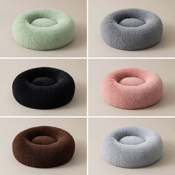 A bed that belongs in your home