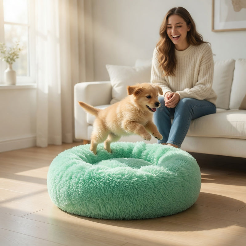 Pets nest instinctively